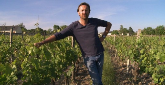 « La clef des terroirs », un documentaire de 52 minutes sur la viticulture biodynamique