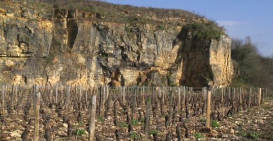 La « clef des terroirs » montre comment l’agriculture biodynamique s’applique à la production du vin