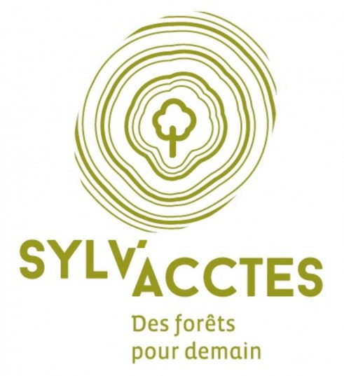 Logo de l'association Sylv'acctes